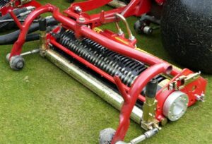 Sarel Roller