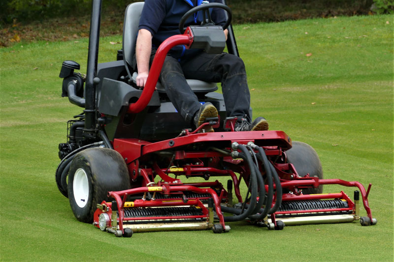 Thatch-Away Sarel-Rollers in action