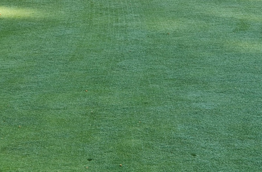Overseeding
