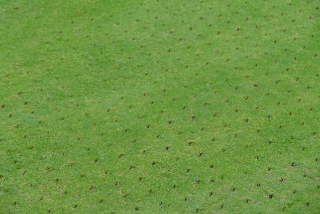 Sarel-Rolling creates thousands of neat holes