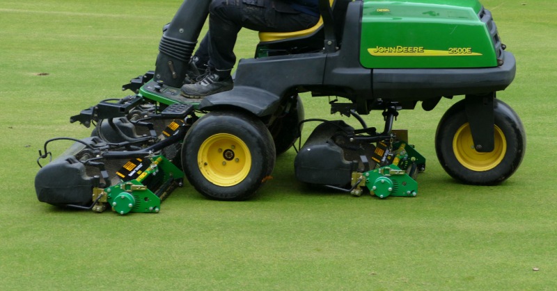 What is thatch and how to deal with it
