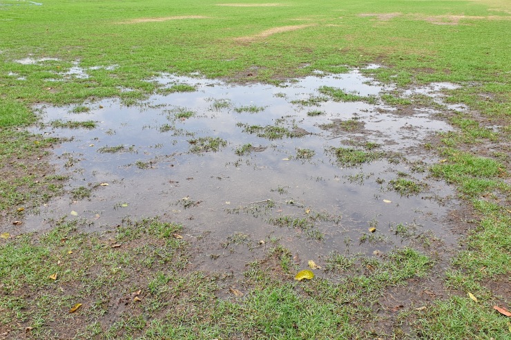 Droughts and Downpours - How to Stop Surface Compaction Killing Your Turf