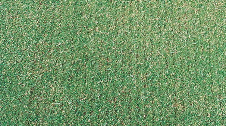 Thatch-Away Verticutter Grass
