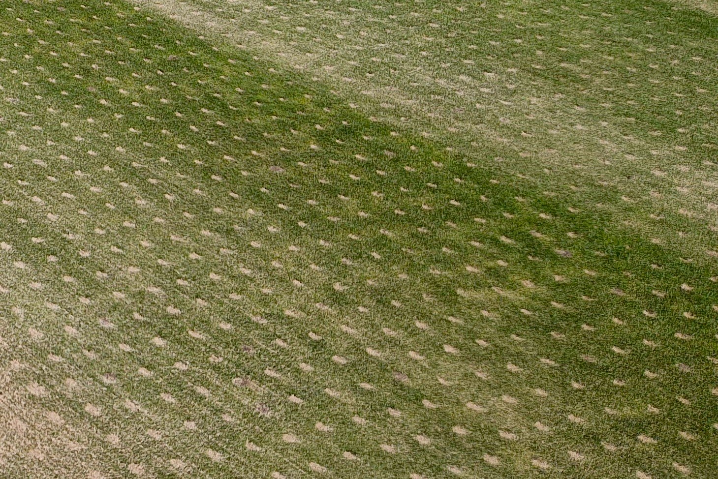 Triple Rake attachment