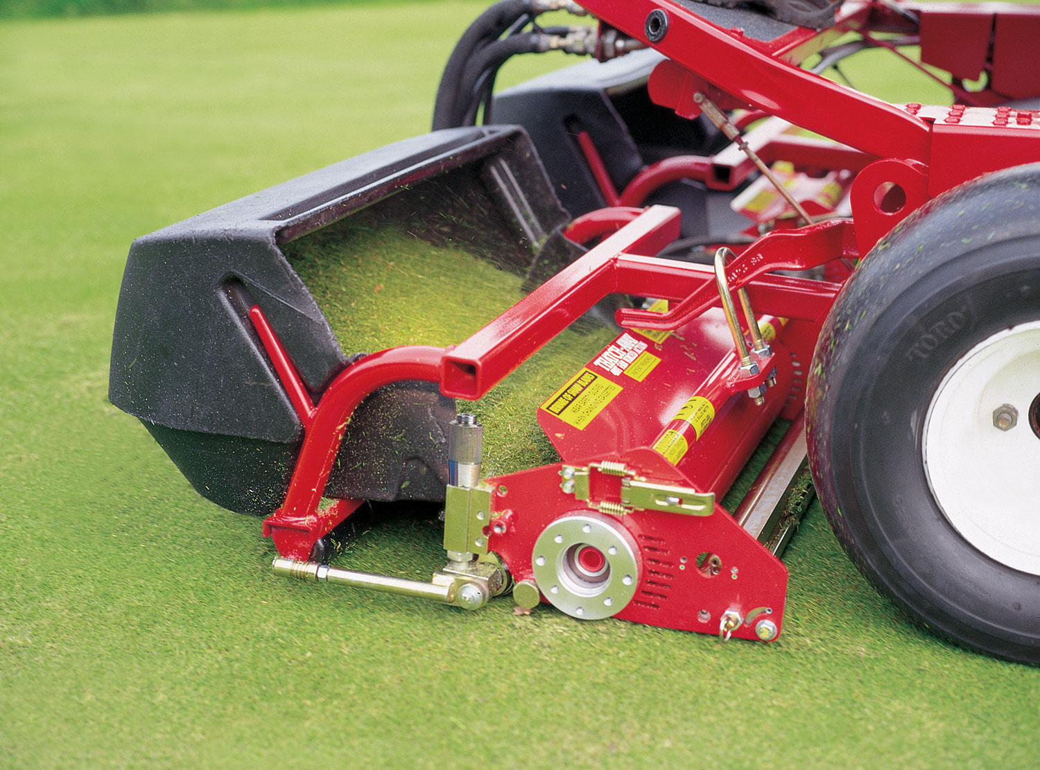 Thatch Removal
